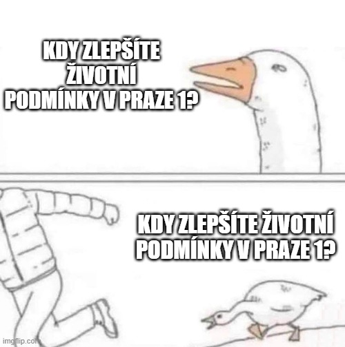 Zelené interpelace v roce 2025