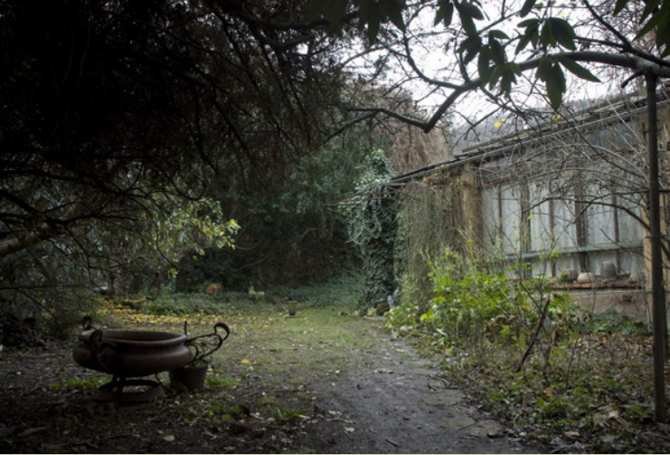 Ateliér Hany Wichterlové má naději, mohl by přejít pod křídla Galerie hlavního města Prahy