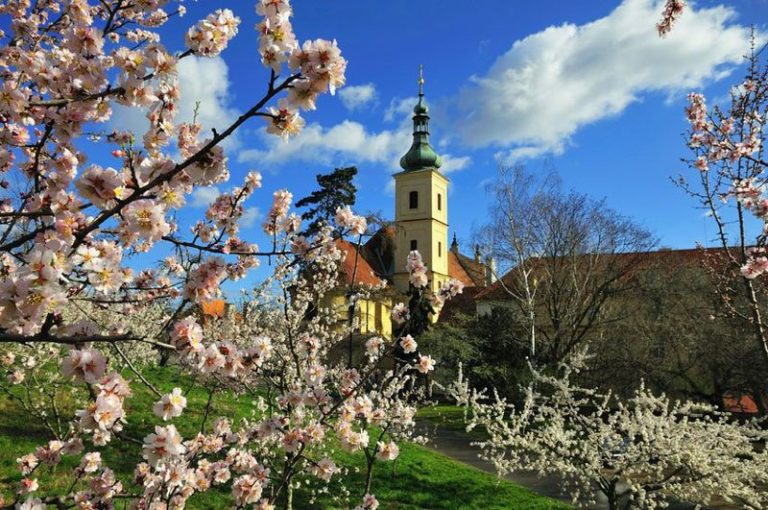 Předjaří a začátek jara na radnici Prahy 1