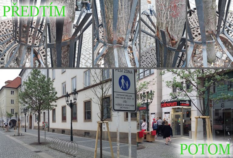 Myslíme i na stromy v ulicích