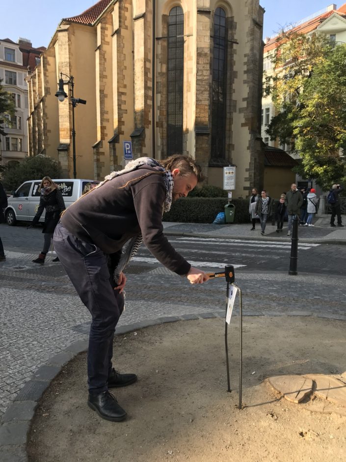 Lepší informovanost – kácení a výsadba stromů
